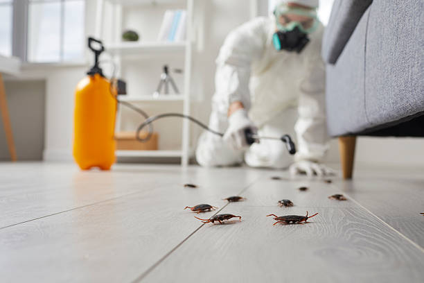 Commercial Kitchen Cockroach Control in North Ballston Spa